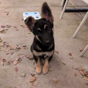 Meet your Posher, Laura